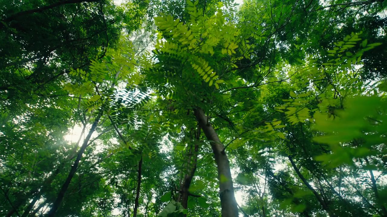 Groundswell screenshot 2