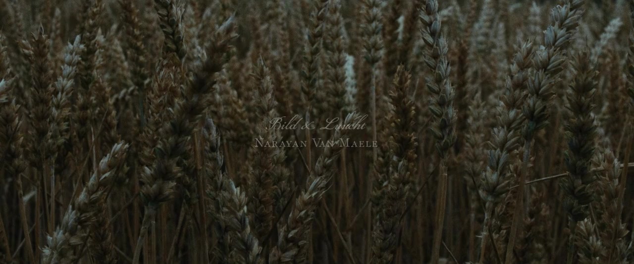 Gutland screenshot 1
