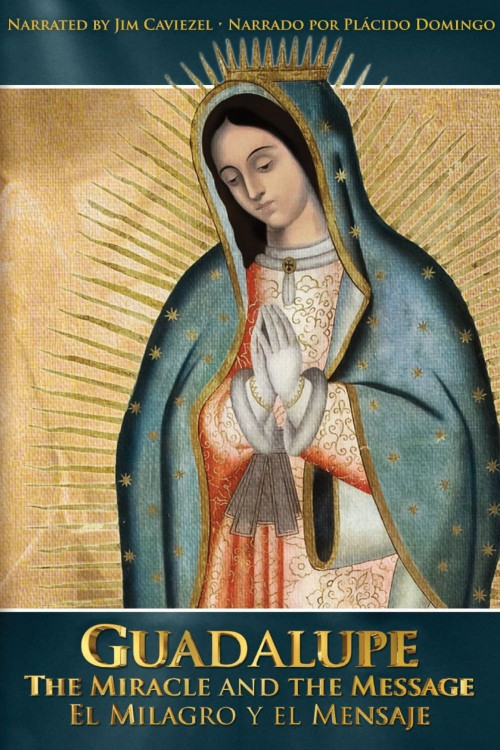 Guadalupe: The Miracle and the Message (2015) poster
