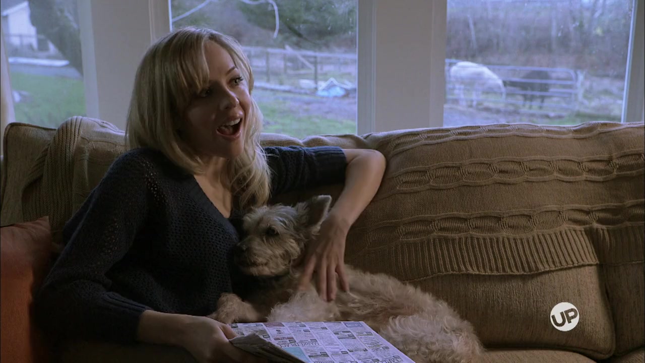 Guess Who's Coming to Christmas screenshot 1