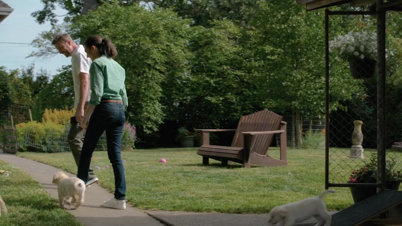 Guiding Emily screenshot 3