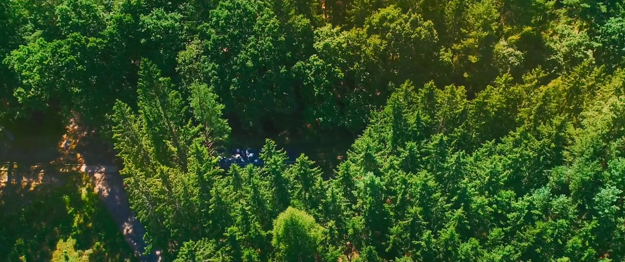 Gump - Jsme dvojka screenshot 1