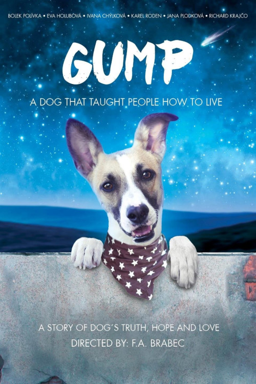 Gump - pes, který naucil lidi zít (2021) poster