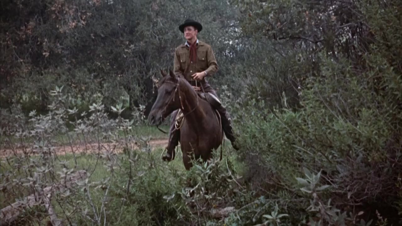 Gunmen from Laredo screenshot 2