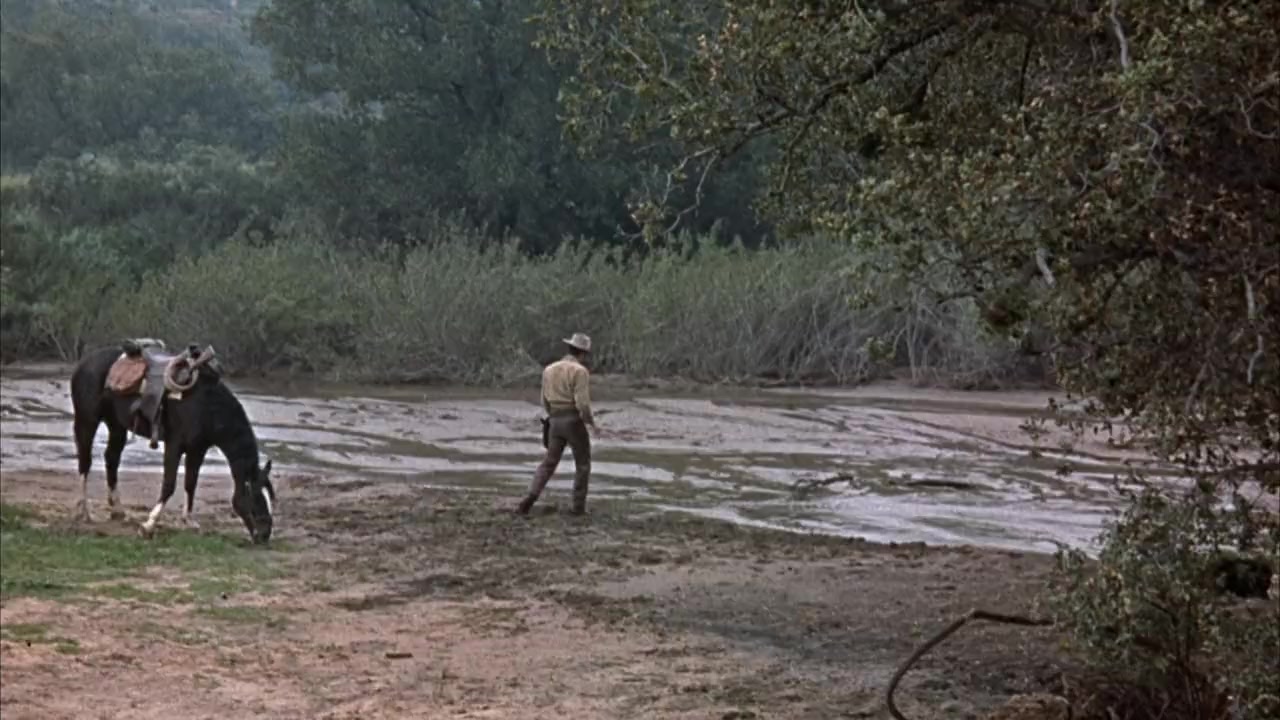 Gunmen from Laredo screenshot 3
