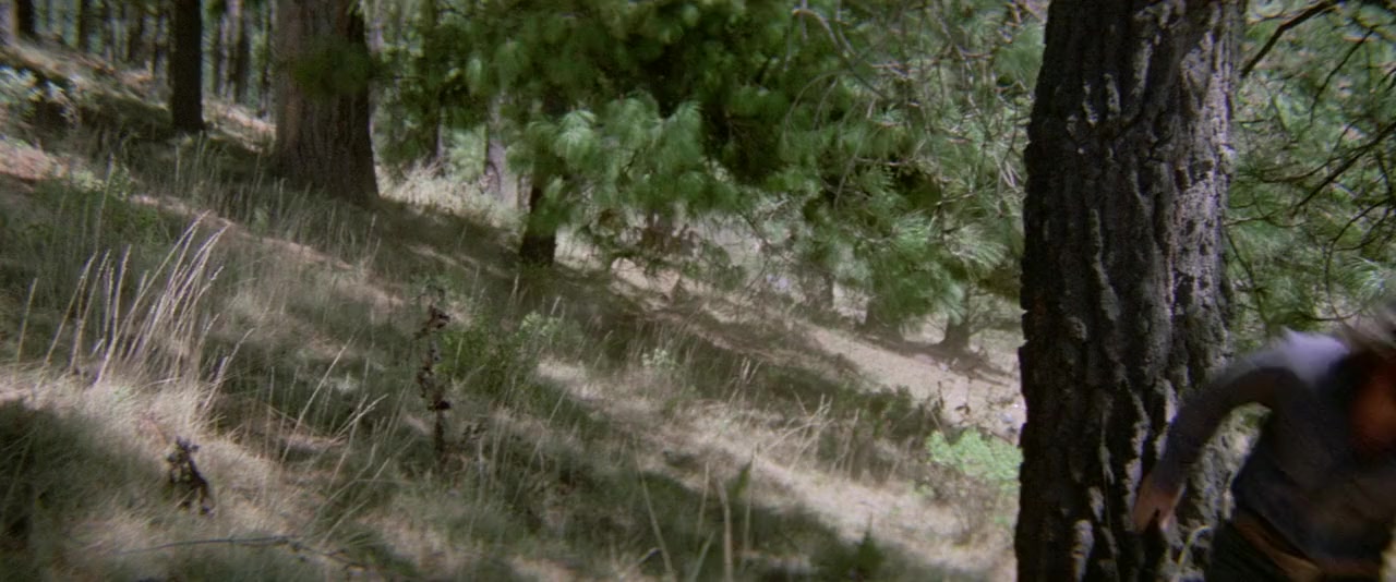 Las viboras cambian de piel screenshot 1