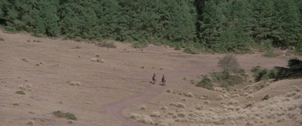 Las viboras cambian de piel screenshot 2