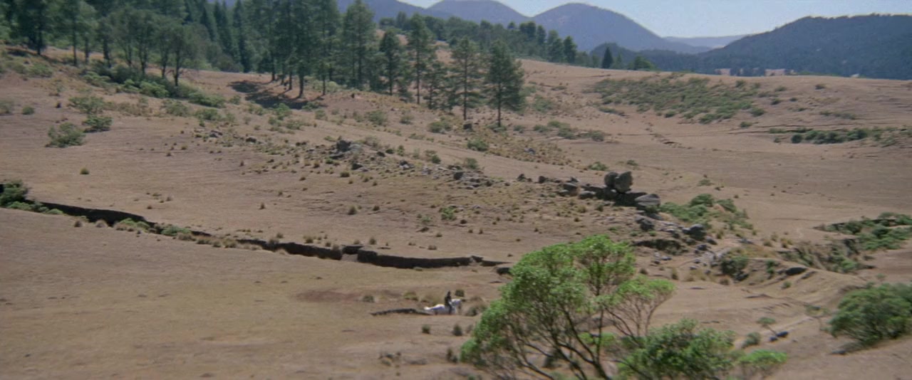 Las viboras cambian de piel screenshot 3