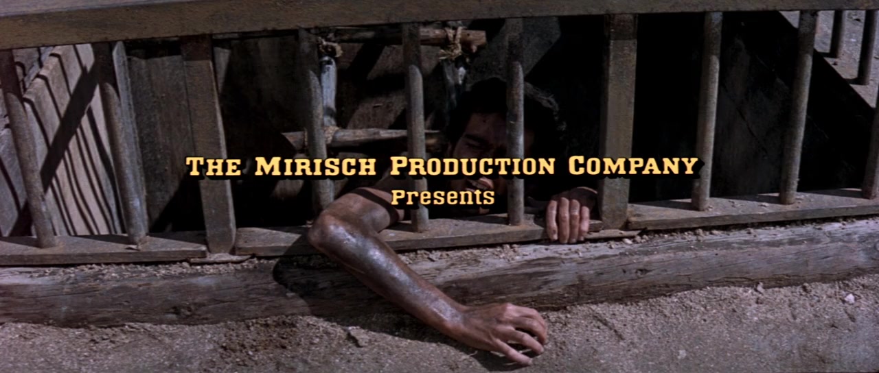 Guns of the Magnificent Seven screenshot 3