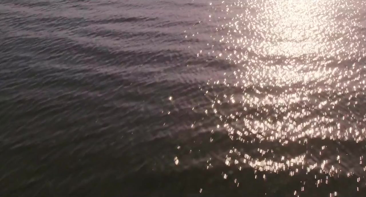The Documentary of Dr G Yunupingu's Life screenshot 1