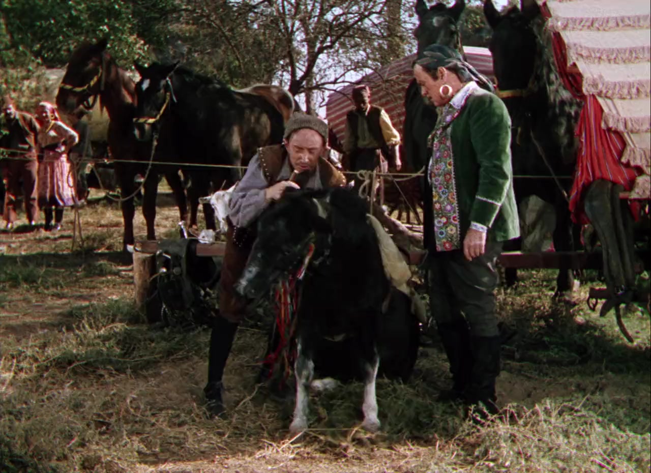Gypsy Wildcat screenshot 2