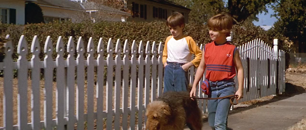 D.A.R.Y.L. screenshot 3