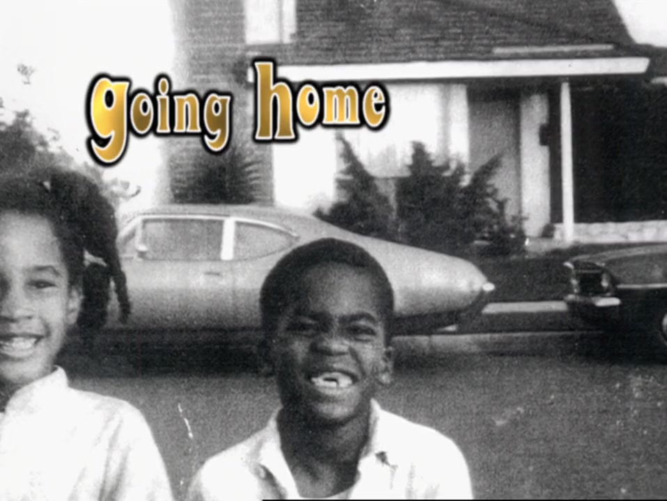 D.L. Hughley: Goin' Home screenshot 1