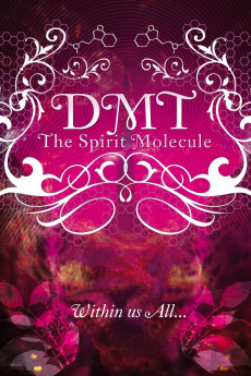 DMT: The Spirit Molecule (2010) poster