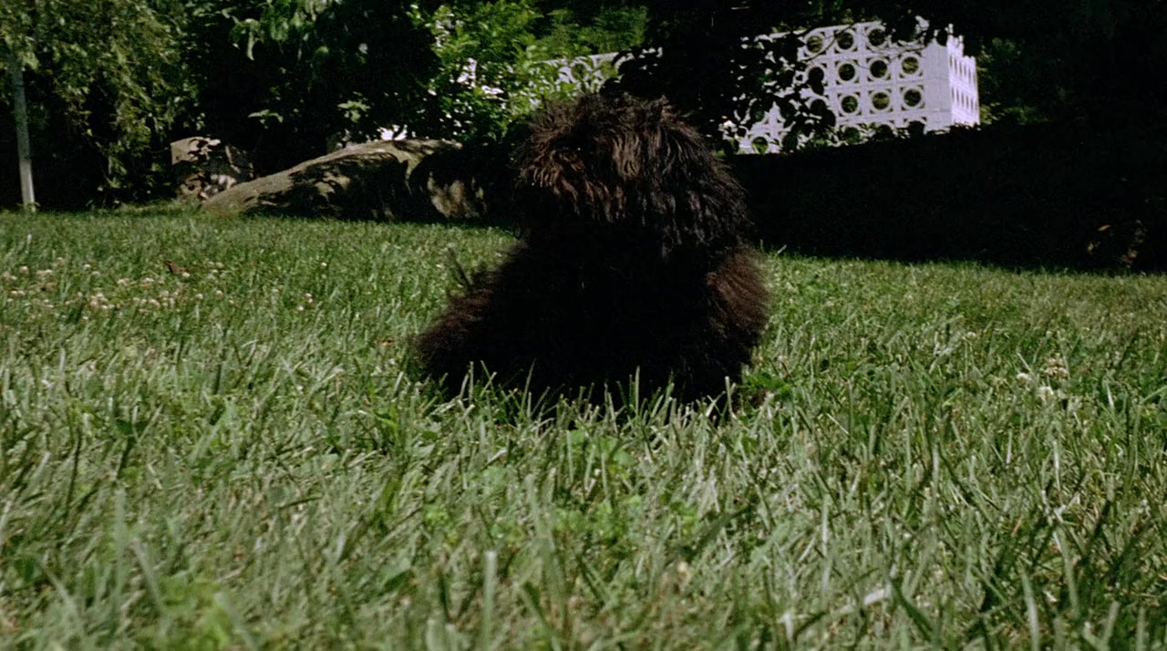 Double Agent 73 screenshot 1