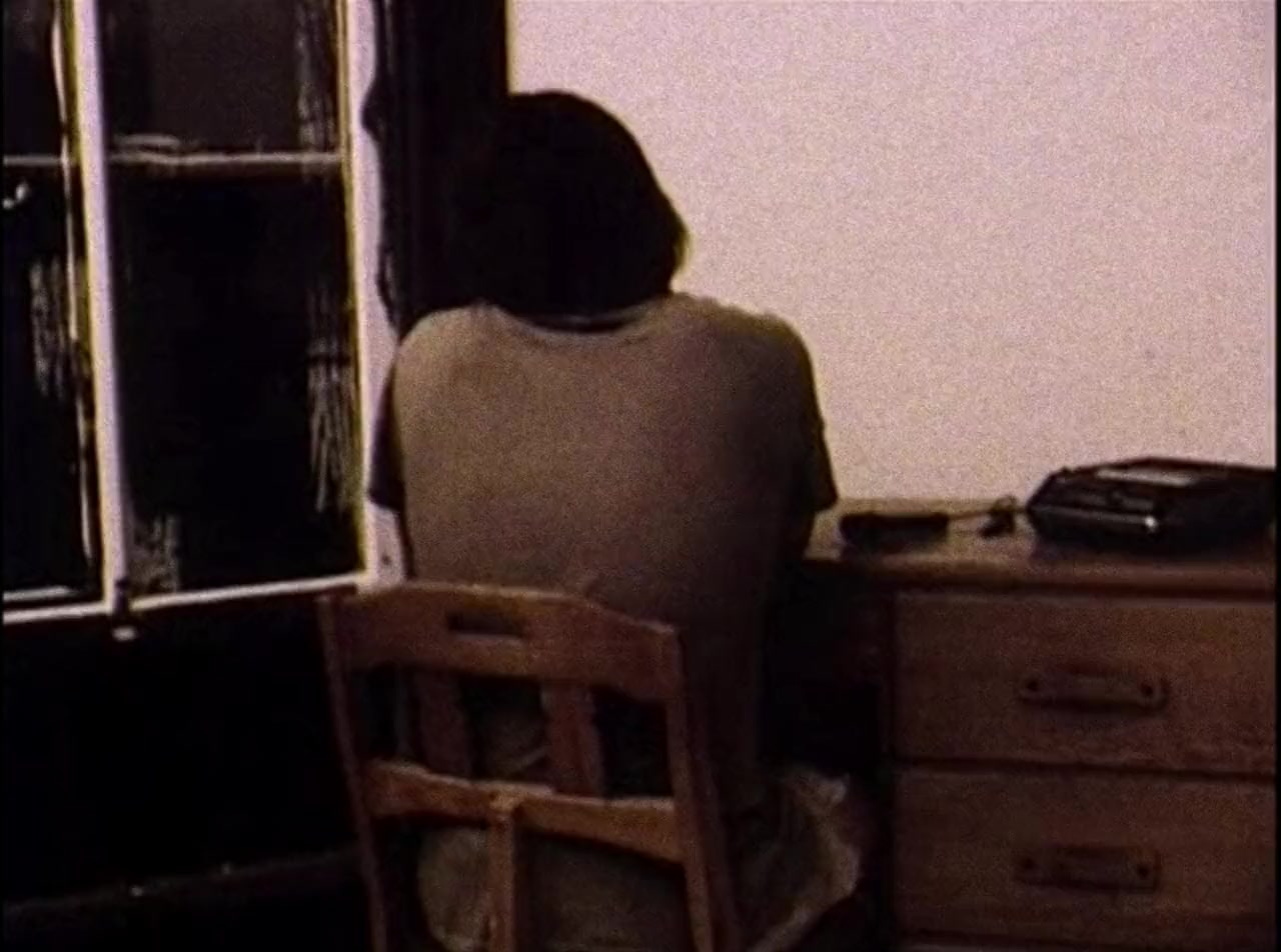 Double Play: James Benning et Richard Linklater screenshot 3