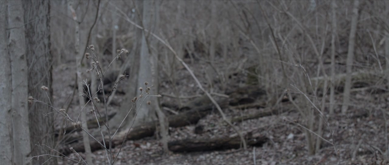 Double Walker screenshot 3