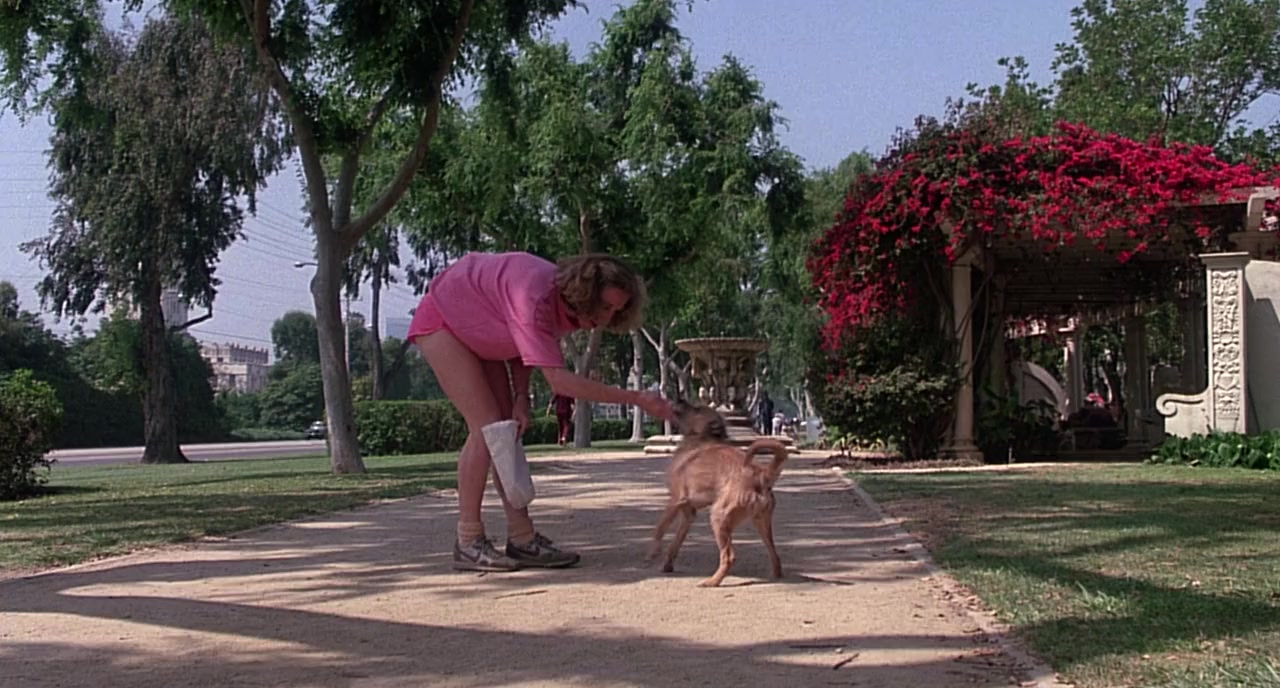 Down and Out in Beverly Hills screenshot 1