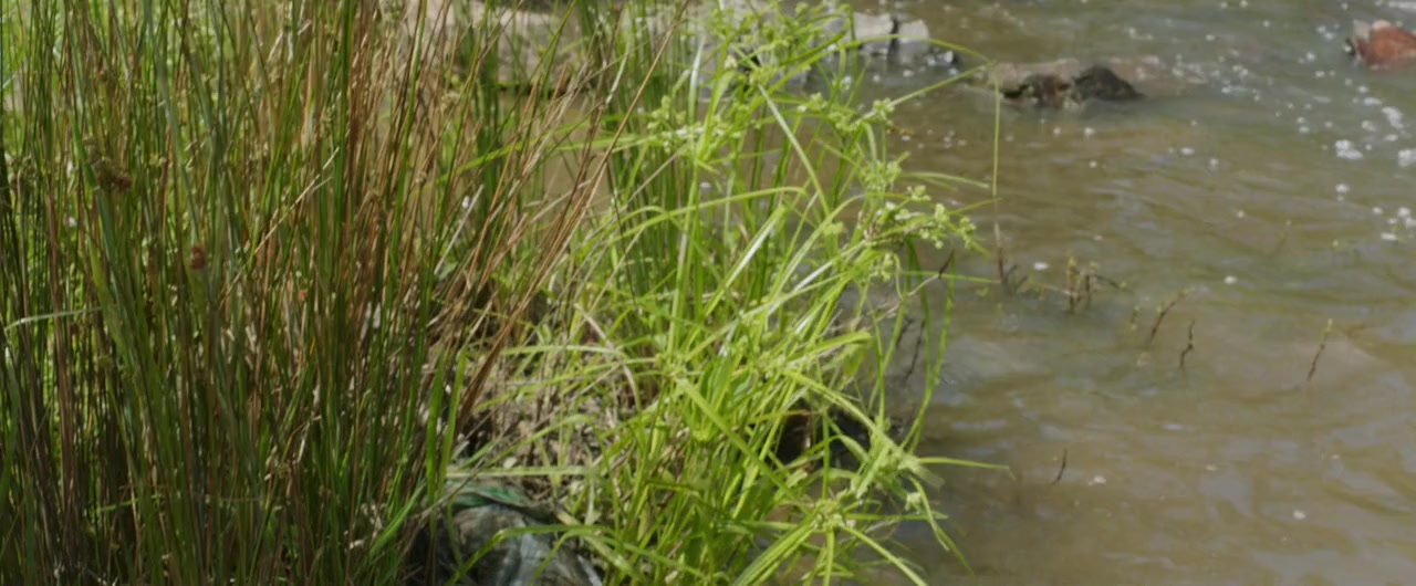 Downriver screenshot 1