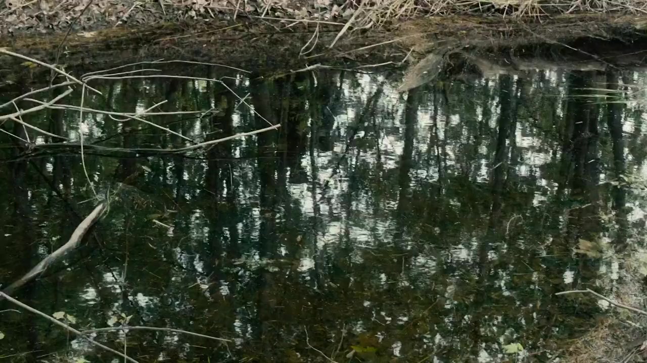 Do I Know You from Somewhere? screenshot 2