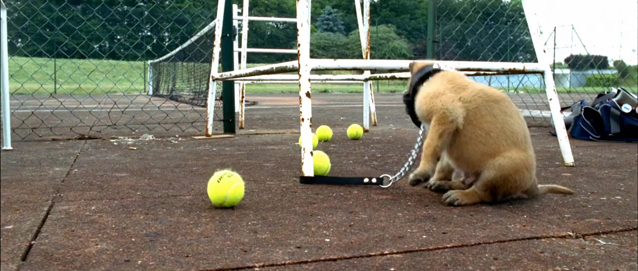 Dobermann screenshot 1