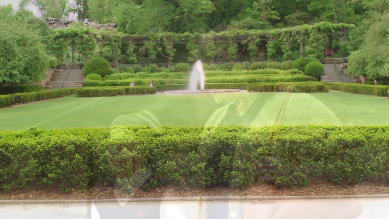 Doctor Bello screenshot 1