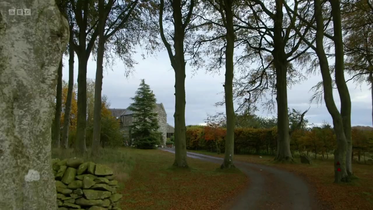 Doddie Weir: One More Try screenshot 2
