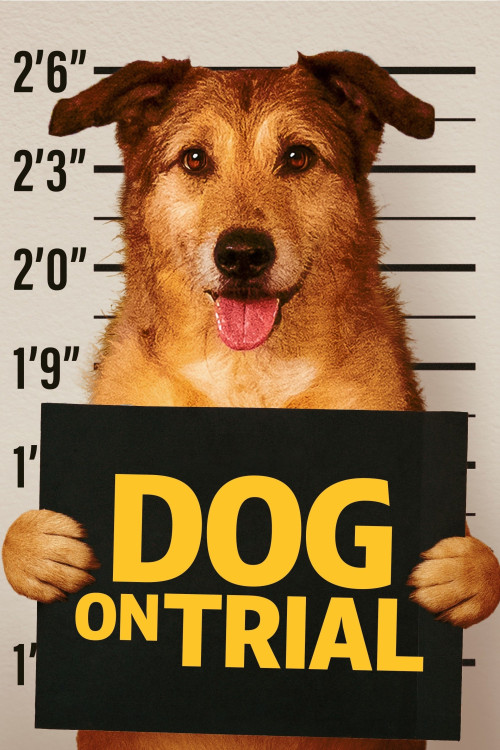 Le procès du chien (2024) poster