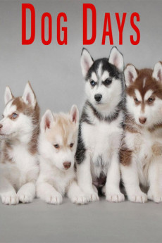 Dog Days (2016) poster