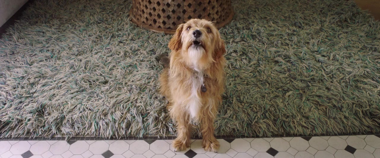Dog Days screenshot 1