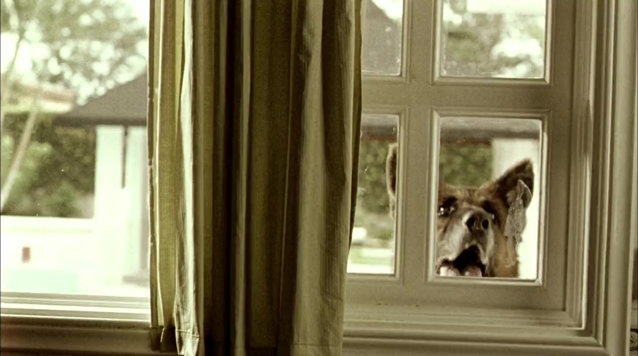 Perro come perro screenshot 3