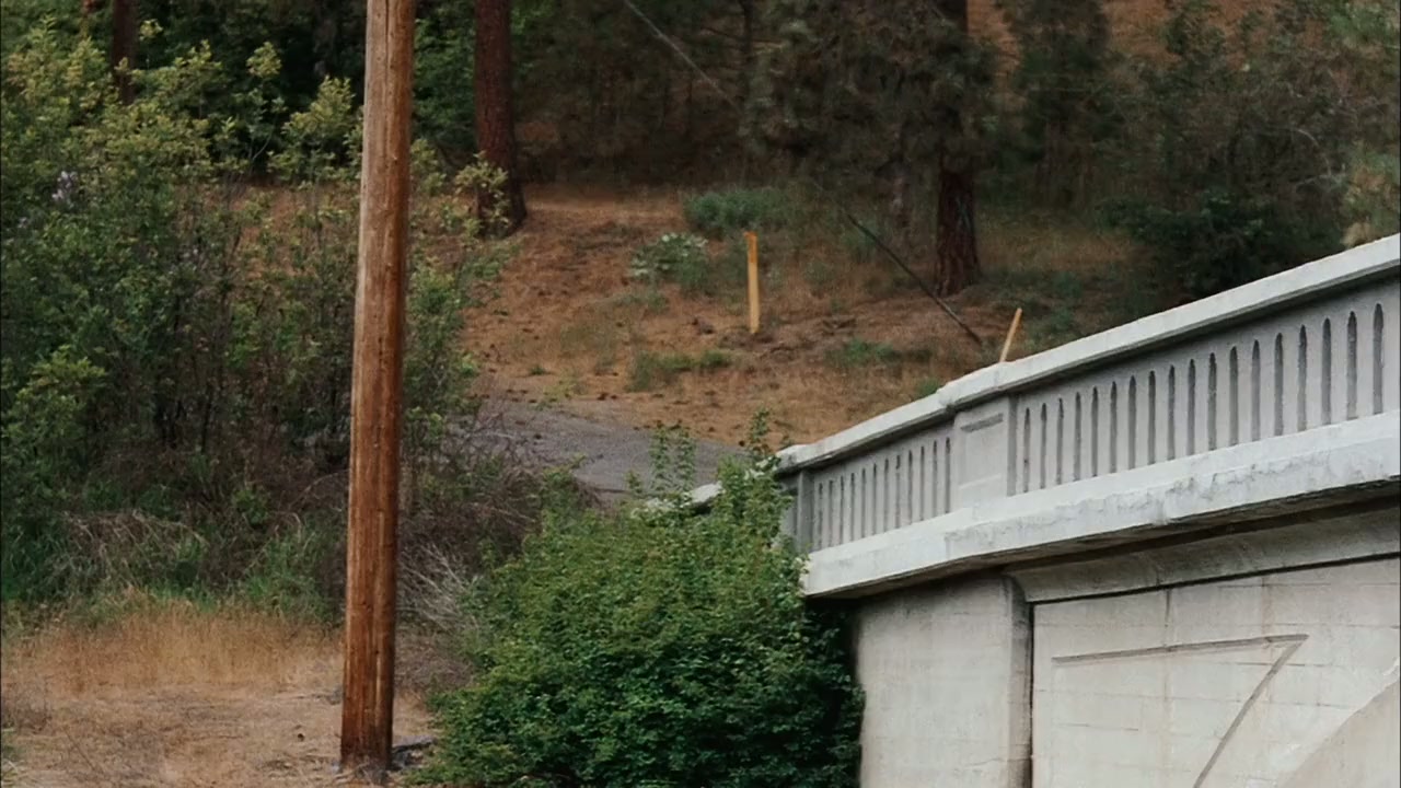 Dog Gone screenshot 3