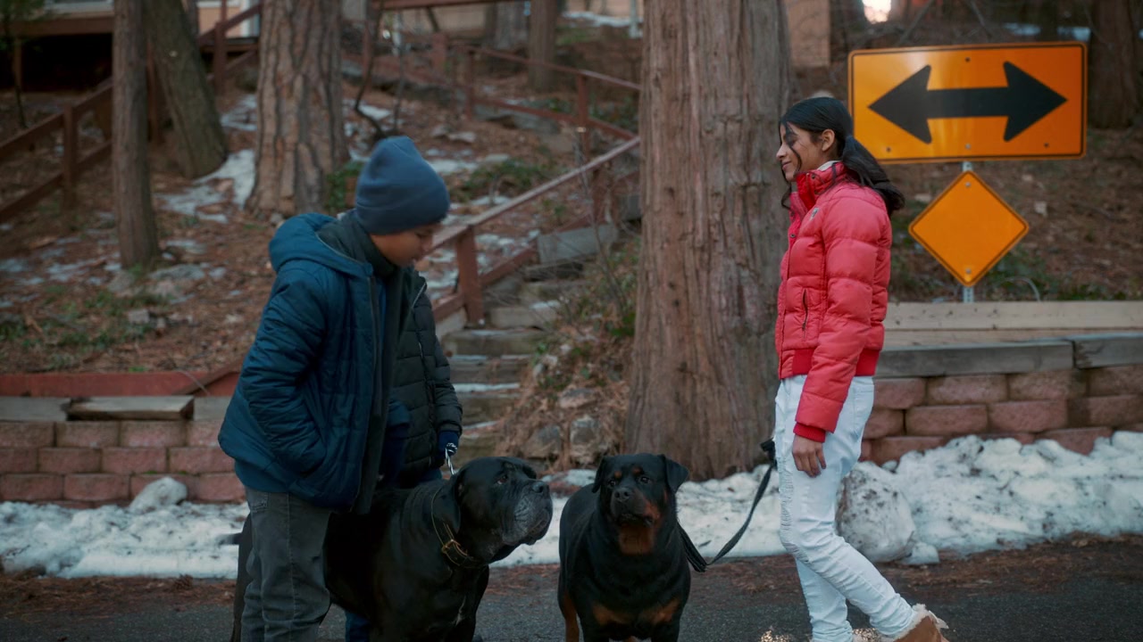 Dog Patrol: Operation Santa Paws screenshot 2