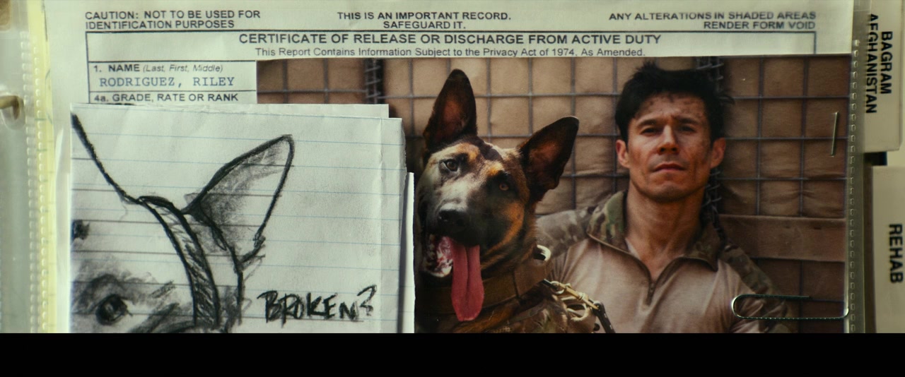 Dog screenshot 3