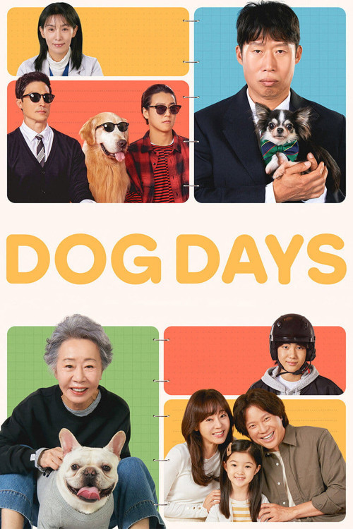 Dogeudeijeu (2024) poster