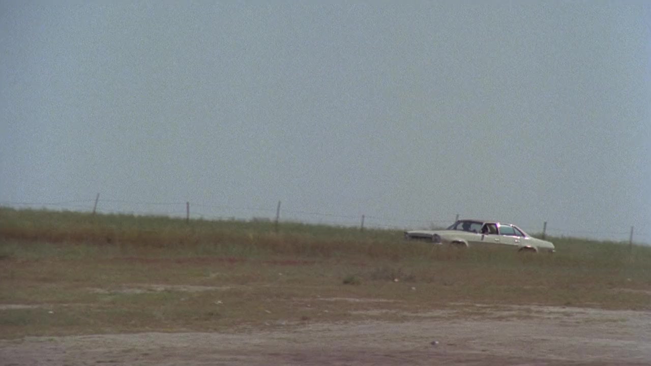 Dogs screenshot 1