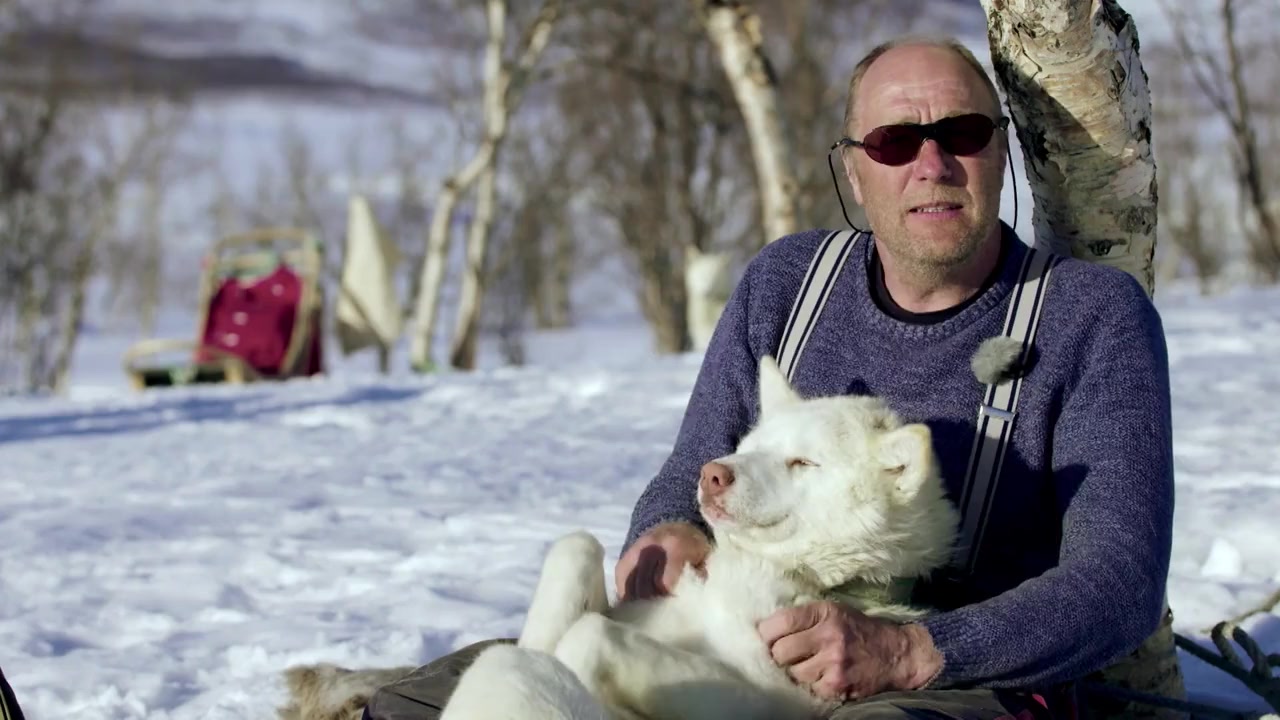 Hund und Mensch: Das Geheimnis einer Freundschaft screenshot 2