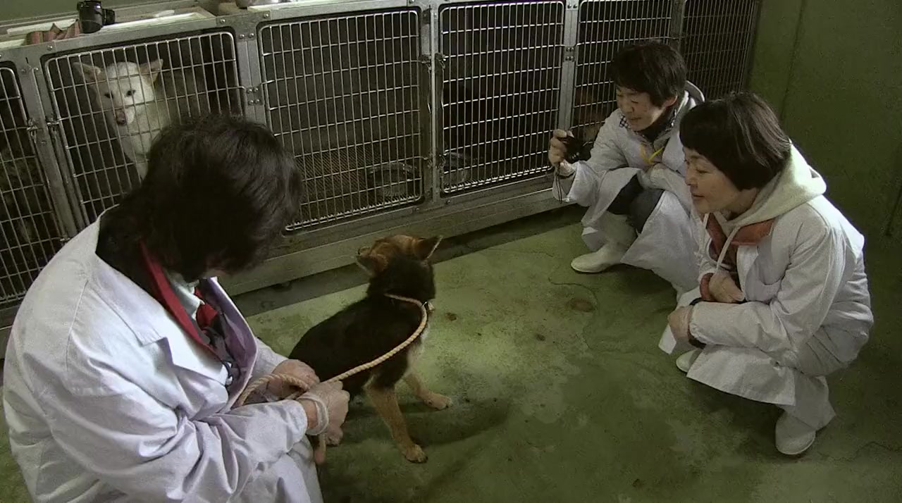 Inu ni namae wo tsukeru hi screenshot 3