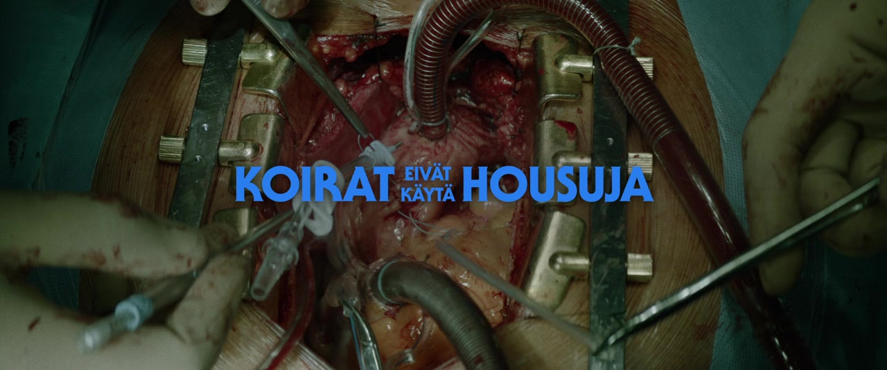 Koirat eivät käytä housuja screenshot 2