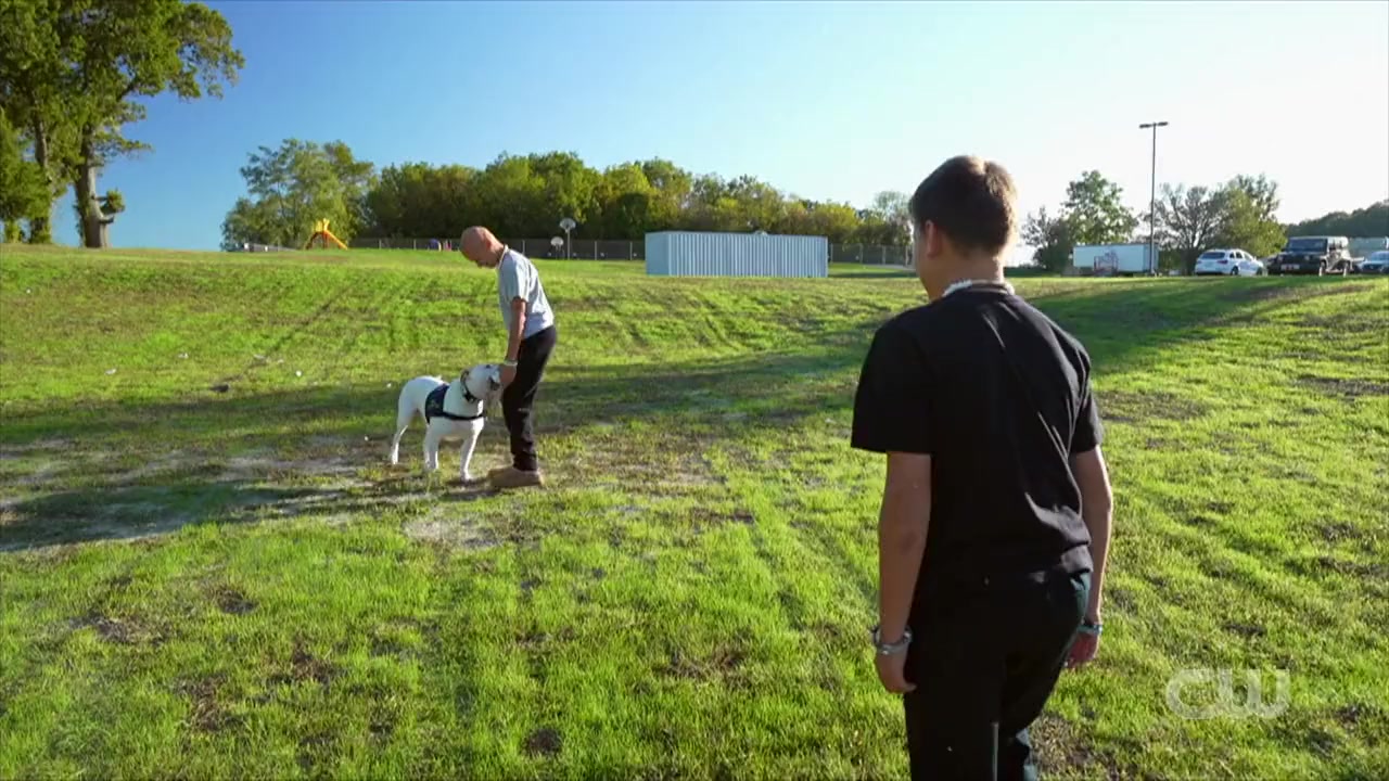 Dogs of the Year 2022 screenshot 2