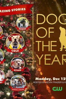 Dogs of the Year 2022 (2022) poster
