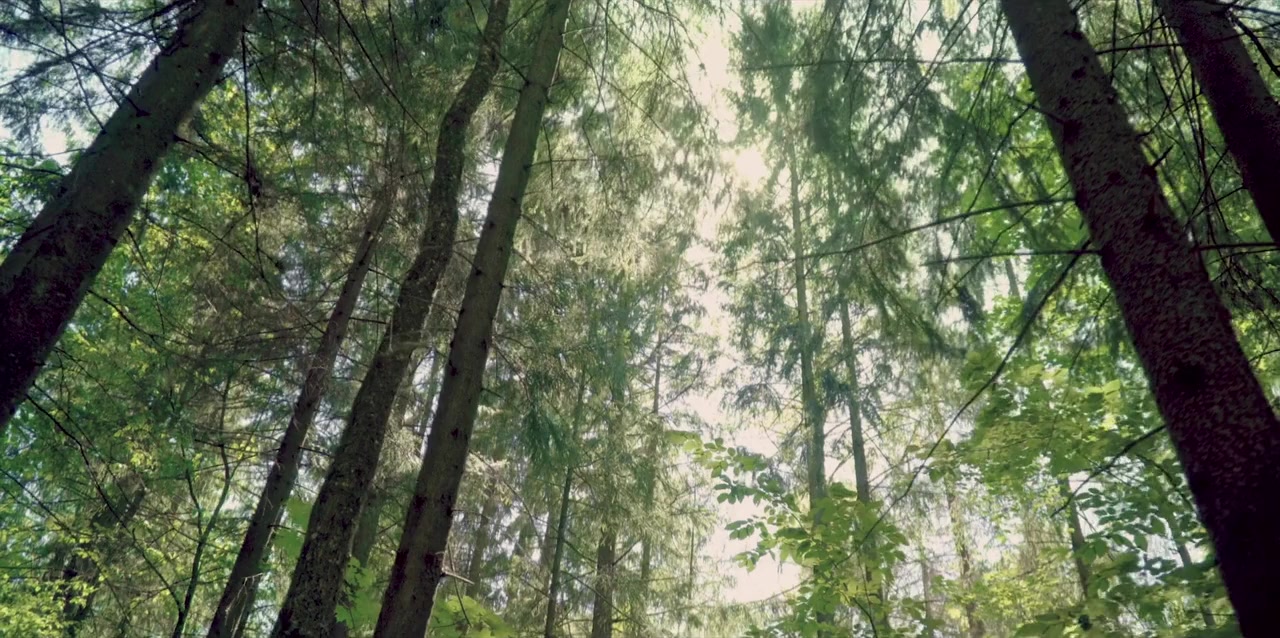 Sendero screenshot 1