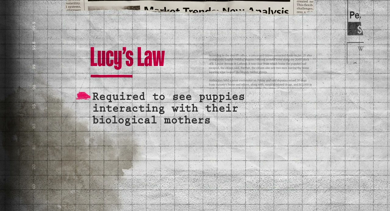 Dogspiracy screenshot 1