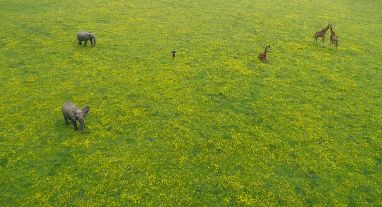 Dolittle screenshot 1