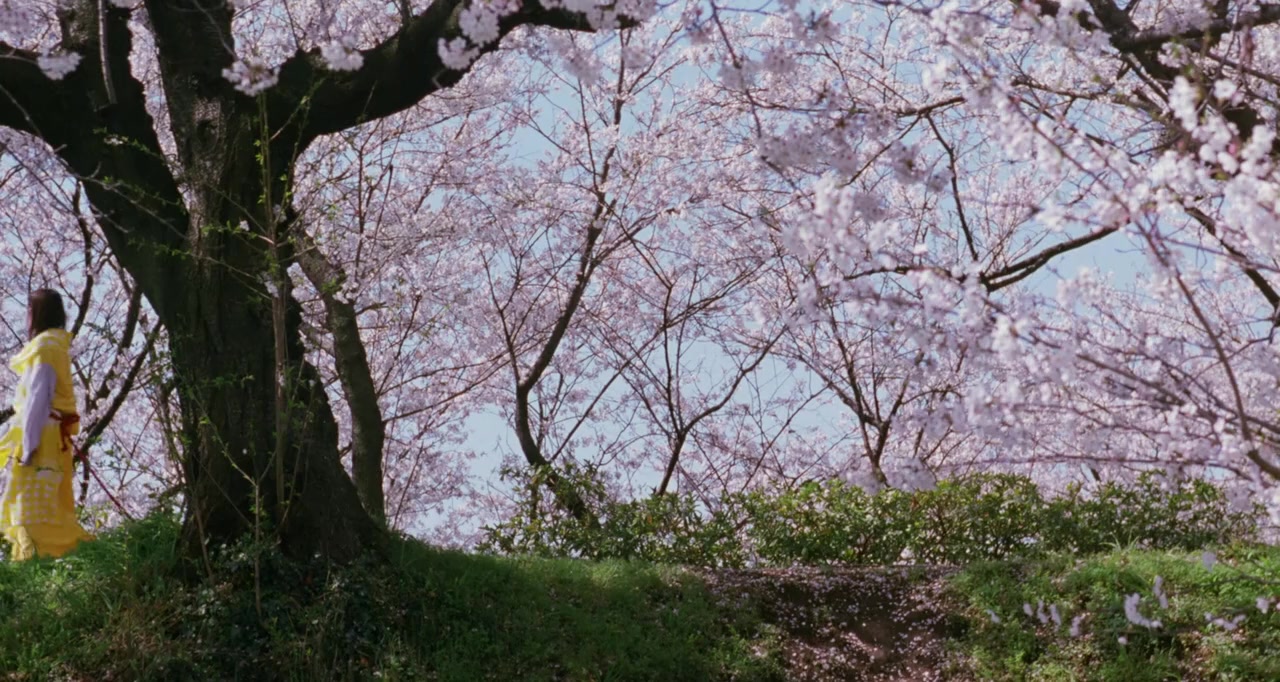 Dôruzu screenshot 1