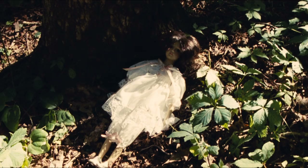 Dolly screenshot 2
