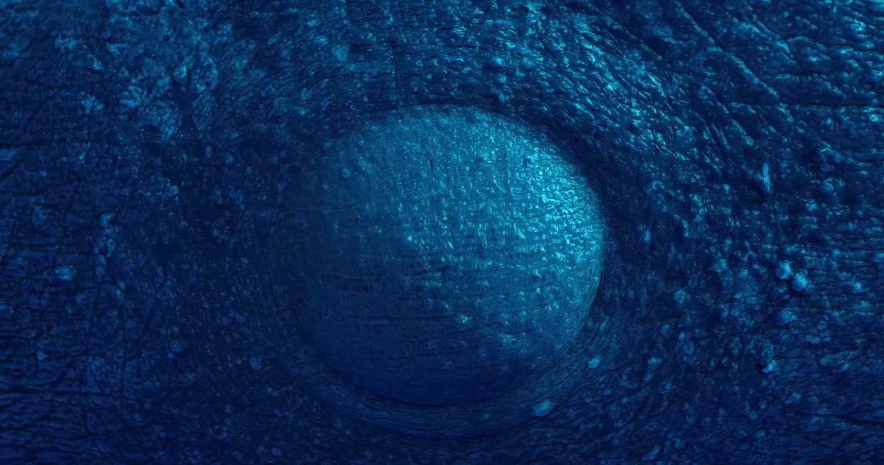 Malchik-delfin screenshot 1