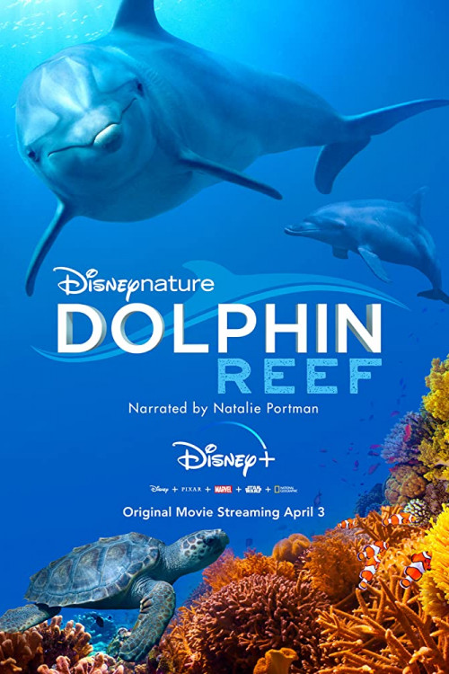 Dolphin Reef (2018) poster