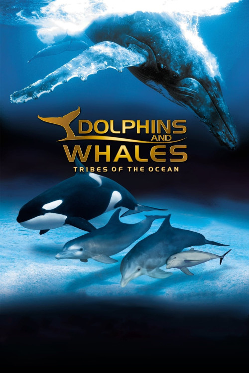Dolphins and Whales 3D: Tribes of the Ocean (2008) poster