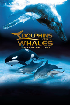 Dolphins and Whales 3D: Tribes of the Ocean (2008) poster